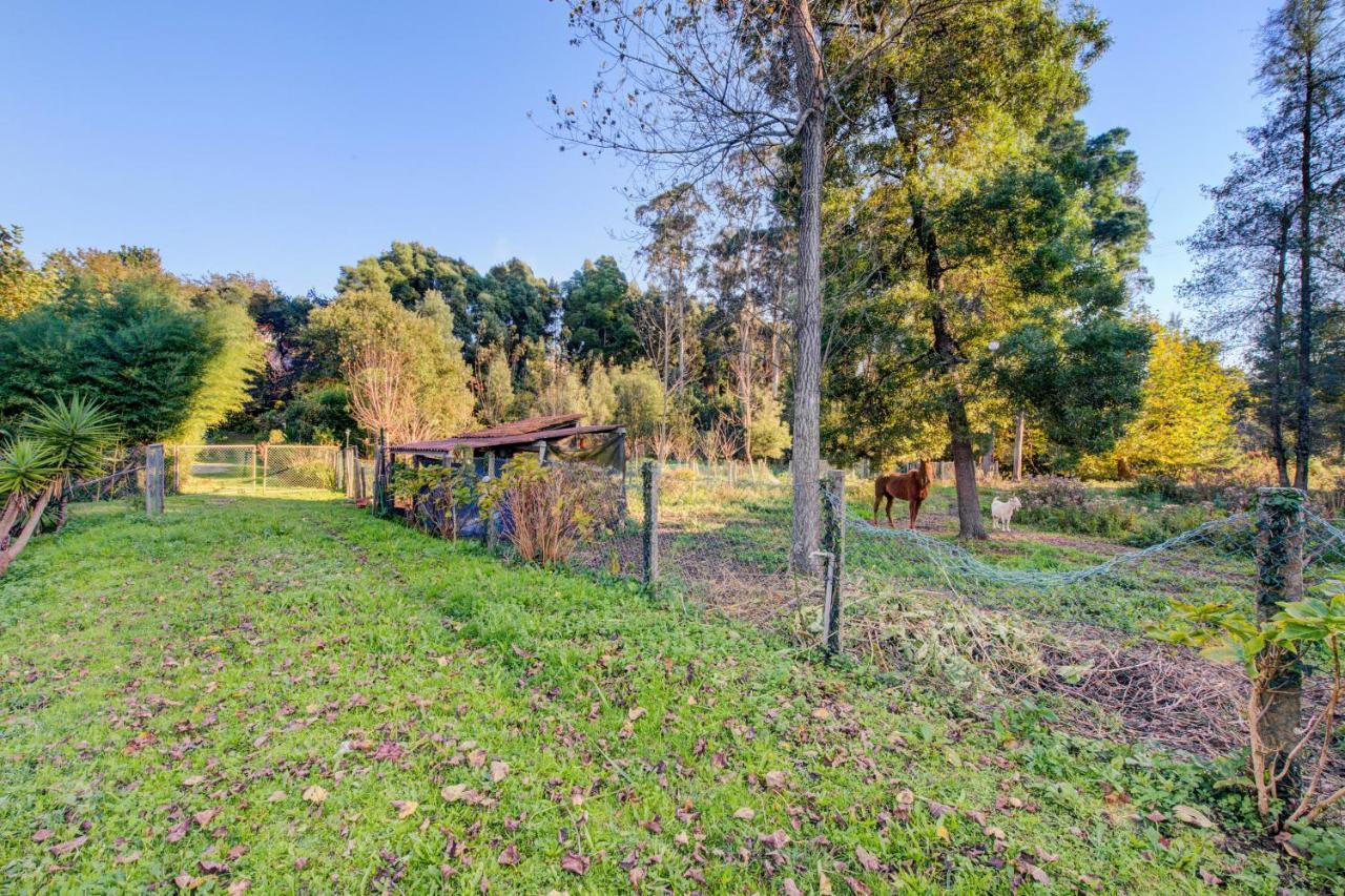Casa Do Moinho Rural Campo E Praia , 9 Pessoas, Animais Benvindos Эшпинью Экстерьер фото