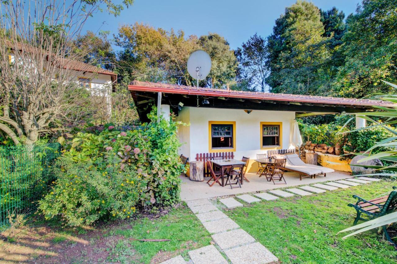 Casa Do Moinho Rural Campo E Praia , 9 Pessoas, Animais Benvindos Эшпинью Экстерьер фото
