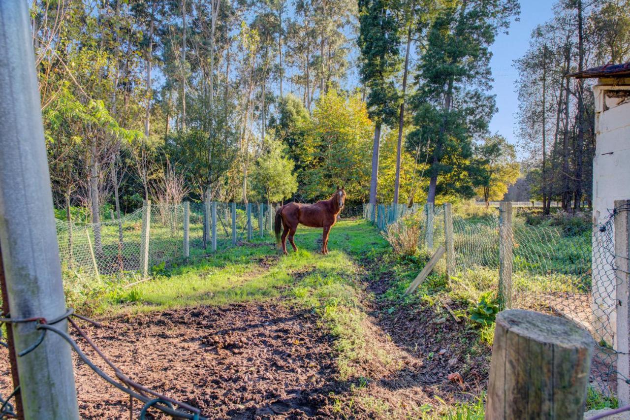Casa Do Moinho Rural Campo E Praia , 9 Pessoas, Animais Benvindos Эшпинью Экстерьер фото